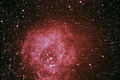 Andy_M / Photo / Rosette 25 11 08