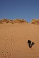 AstroPhethean / Photo / beach5