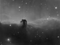 CELESCOPE / Photos / horse head