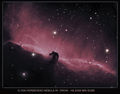CELESCOPE / Photo / IC434
