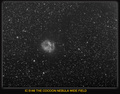 CELESCOPE / Photos / IC 5146 THE COCOON NEBULA