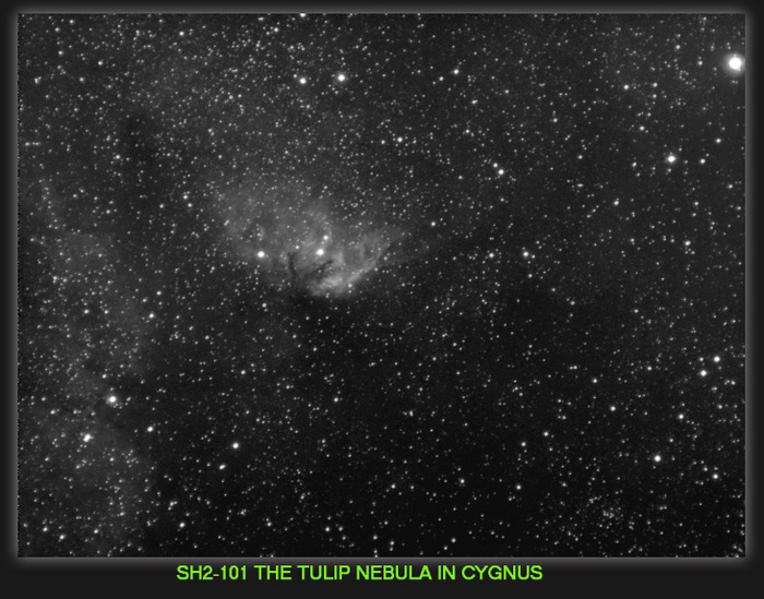 CELESCOPE / Photos / The tulip Nebula in Cygnus