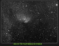 CELESCOPE / Photos / The tulip Nebula in Cygnus