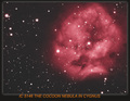 CELESCOPE / Photos / ic5146 cocoon