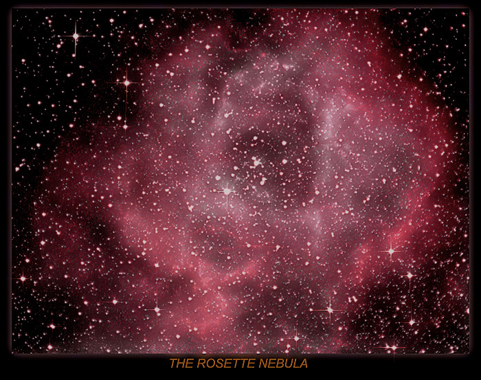 CELESCOPE / Photos / Rosette