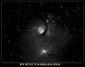 CELESCOPE / Photos / M78 REFLECTION NEBULA // ORION
