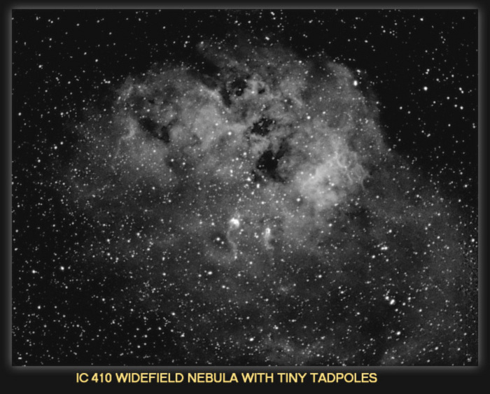 CELESCOPE / Photos / IC 410 NEBULA