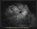CELESCOPE / Photos / IC 410 NEBULA