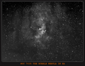CELESCOPE / Photos / bubble 2