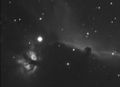 Hedscan / Photos / horsehead
