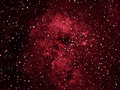 Klevtsov / Photos / IC410 THe tadpoles