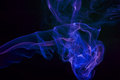 Klevtsov / Photo / A colourised smoke picture