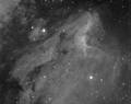 Klevtsov / Photos / IC5070 The Pelican Nebula widefield
