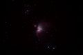 M110 / Photos / M42_03.01.09