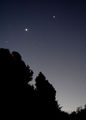 Moondog / Photos / Venus & Jupiter from New Zealand
