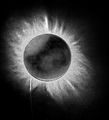 NickH / Photos / 1919 Eclipse - Re processed