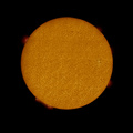 NickH / Photo / Augist 19th - Solar disc