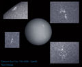 NickH / Photos / Cak Star