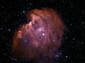 NickH / Photos / Monkey narrowband