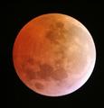 Peter / Photo / The eclipsed Moon