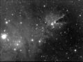 RichieJarvis / Photos / Black and White NGC2264