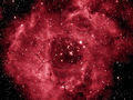 RichieJarvis / Photo / Rosette Nebula