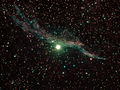 RichieJarvis / Photos / Witches Broom