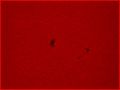 Robbo / Photo / Sunspot 1005 2008 10 12 1334UT Ha