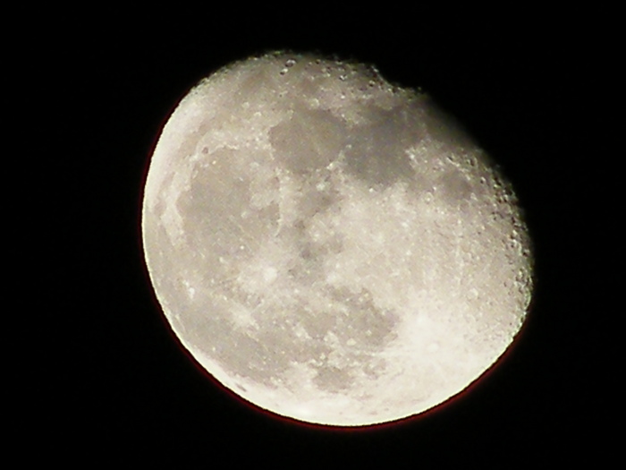 Sparrow / Photos / Moon 26.1.08