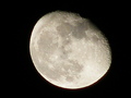 Sparrow / Photos / Moon 26.1.08