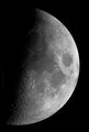 Sparrow / Photo / Moon 11.5.08 mosaic