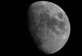 Sparrow / Photo / Moon 14.5.08 at 10pm