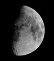 SteelRat / Photos / friluntal1s590