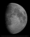 SteelRat / Photos / Lunar - 191207 - afocal phone & Celestron Astromaster 70AZ