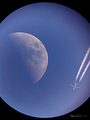 SteelRat / Photos / Lunar Flyby with Dobs & Phone (smallpic)