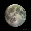 SteelRat / Photos / Lunar with phone and Tal1 130908 (small with some colour)