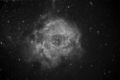 Stevel / Photos / Rosette Ha