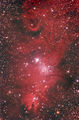 Stevel / Photo / NGC2264