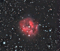 Stevel / Photos / IC5046 Cocoon Nebula