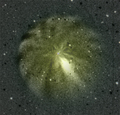 Stevel / Photos / Comet 17P Holmes