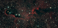 Stevel / Photos / IC1396A Elephant Trunk