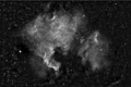 Stevel / Photos / NGC7000 Ha