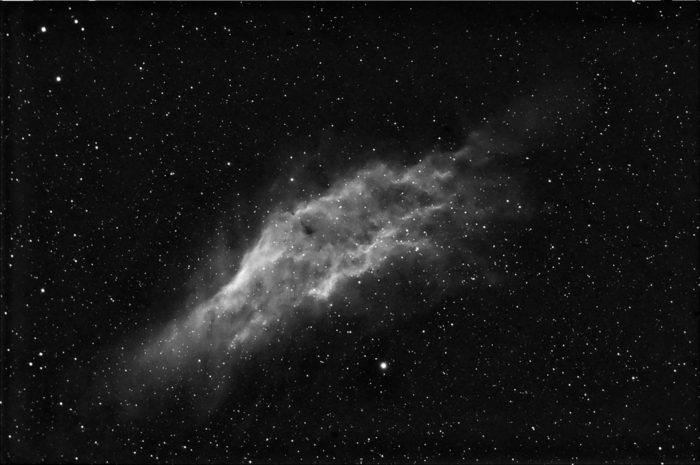 Stevel / Photos / NGC1499 in Ha