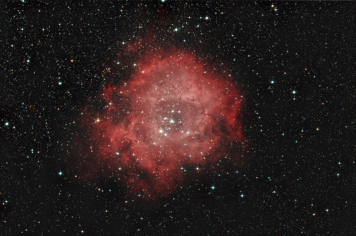 Stevel / Photos / NGC 2237 Rosette