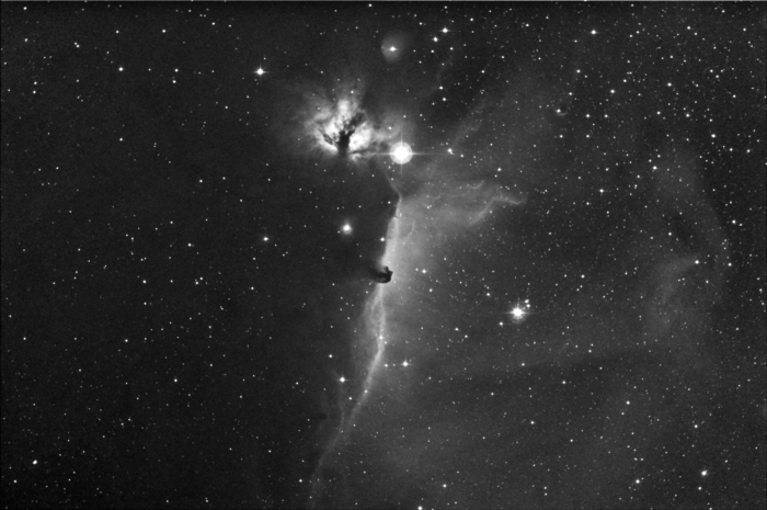 Stevel / Photos / NGC2024/Horsehead