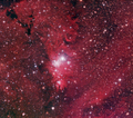 Stevel / Photos / NGC 2264