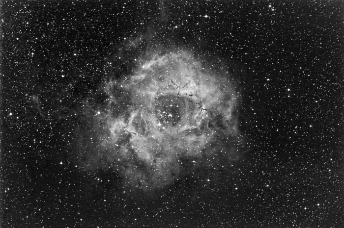 Stevel / Photos / NGC2237 Rosette in Ha