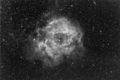 Stevel / Photos / NGC2237 Rosette in Ha