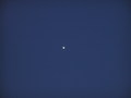 Storebror / Photo / First shot of Venus - taken simply with my digital camera so maybe not very impressive.....you tell me!