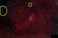 Tim / Photo / What are the ringed objects?